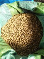 High Quality Non GMO Yellow Soybeans - Soybeans /Soya Bean (8.0mm) with High Quality