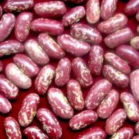 Export Quality New Crop Light Speckled Kidney Beans at Best Rate