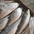 best price Fresh Ready to Eat Frozen Milkfish Available on Sale