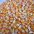 Wholesale supplier Animal Feed Corn Yellow Maize for Sale