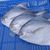 Best Wholesale Frozen/Fresh/Dried White and Black Silver Pomfret Fish