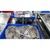 Top selling fresh/frozen/dried cuttle fish whole cleaned fish