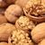 New crop walnut raw walnut with high quality export