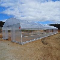 PE Greenhouse Film