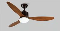 BLDC smart ceiling fan