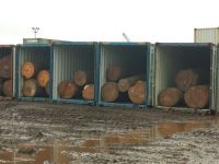 Cameroon Hardwood Timber Logs