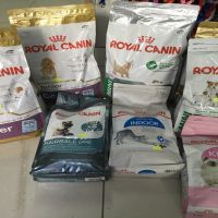 whole sale 20kg package dry dog food.