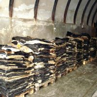 Salted Cow Head Skin /Available Wet Salted Donkey Hides/ Cow Hides/Sheep