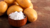 Quality Potato Starch Manufacture  For Sale