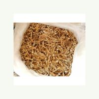 Wholesales prices Dried Anchovy Fish With High Quality dried anchovies good for you