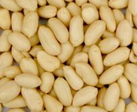Sell blanched peanut