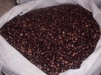 guarana seeds