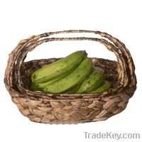 Sell water hyacinth fruit baskets