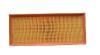 Air Filter (1S719601AA)