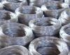 Sell galvanized iron wire
