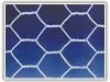 Sell Hexagonal Wire Mesh