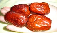 Sell Jujube from XinJiang, China