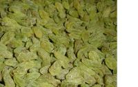 Sell Raisin from Xinjiang, China