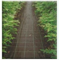 Sell PP non-woven or woven mat for agriculture(PP gewebte Matte weed)