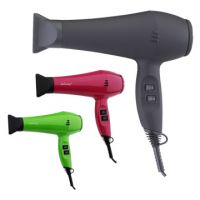 Hair Dryer (AT100)
