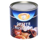 Sell Canned Oyster Mushroom