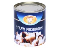Sell Canned Straw Mushroom