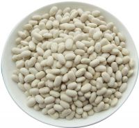 Sell Dry White Kidney Bean