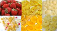 Sell canned fruit