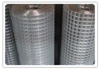 Sell Welded Wire Mesh