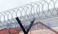 Sell Razor Wire Fence