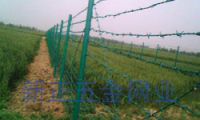 Sell Barbed iron fence