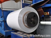 Sell Prepainted Steel For Whiteboard and Chalkboard Making