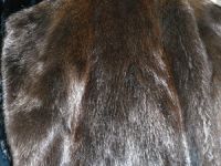 Chinese mink skins