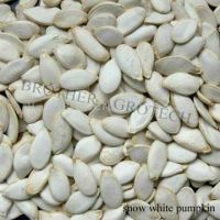 Sell high quality snow white pumpkin seeds