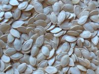 new crop Shine Pumpkin Seed from China