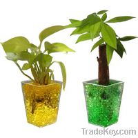 Sell Crystal soil beads for plants, non-fade and non-toxic