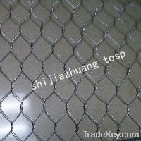 Sell hexagonal wire netting