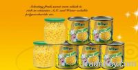 Canned Sweet Corn