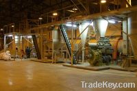 SK wood pellet production line with 2000-20, 000 tons annual output