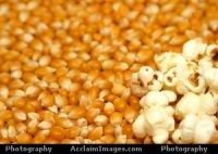 Sell Pop corn