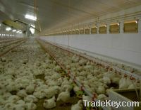 Sell Chicken House Ventilation Equipment Air Inlet