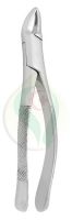 Extracting Forceps