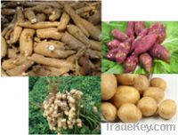 Sell potato, garlic, sweet potato, peanut, cassava harvester