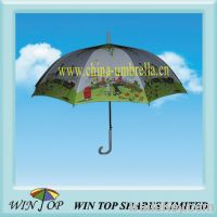 Sell 23" auto straight heat transfer printing umbrella