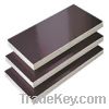 Sell  Poplar Core Film Faced Plywood