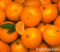 Mandarin