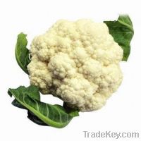 Sell Fresh Cauliflower