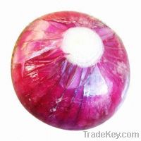 Sell Red Onion