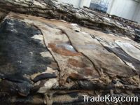 Sell high quality raw dry salted cow hides
