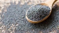 Poppy seeds For Sale